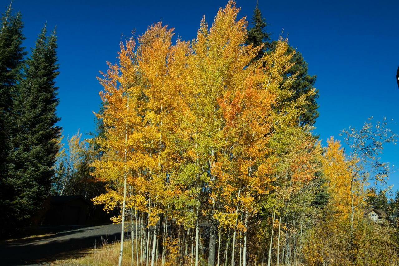 Aspen Village Golf Course Condo - Snowshoes McCall Dış mekan fotoğraf